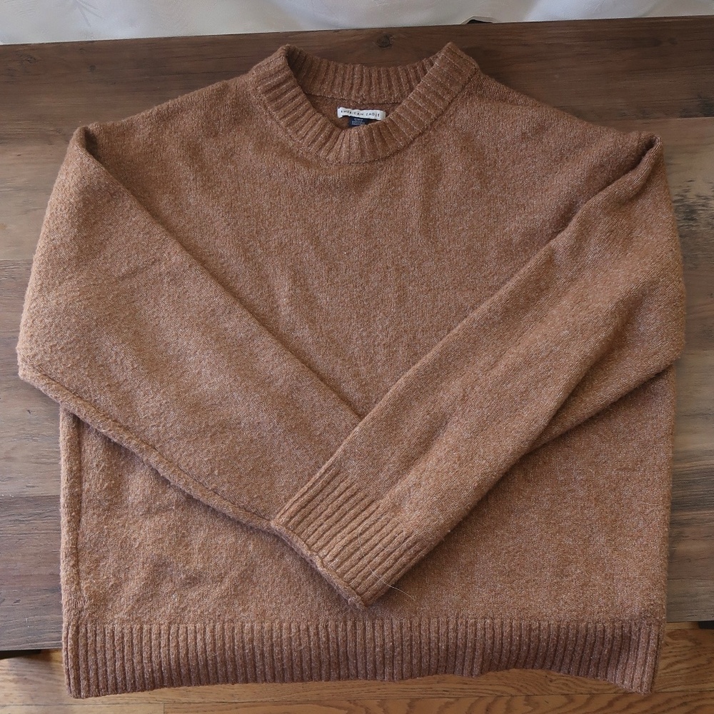 Brown American Eagle Sweater (M)